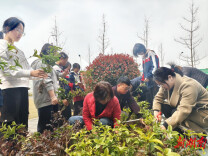 文郡实验学校开展植树节主题劳动实践活动