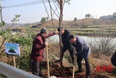 大祥检察：植树造林添新绿，法治护航生态美