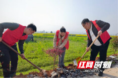 践行林长制 同心添新绿——溆浦县桥江镇开展春季义务植树活动