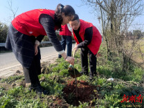 安仁县：春植新绿正当时 干群携手优生态