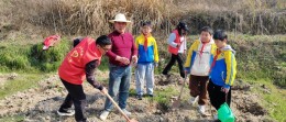 龙山县第三小学：童心“植”梦 绿色同行