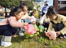 华容县：师生携手添新绿，共建美丽新校园