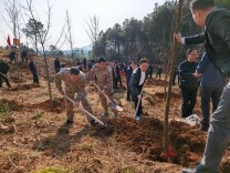 武冈市人武部：军地携手添新绿 双拥共建谱新篇
