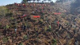 江华：不负春光添新绿 干群同心绘新景