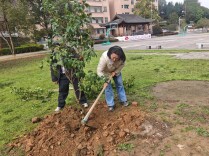 会同王家坪明德学校：植绿护绿承五德，劳育铸魂育新人