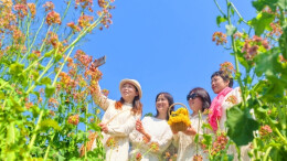 踏青赏花享春光