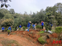 宁乡市600余名志愿者开展植树护绿活动