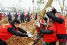 永顺县教体系统积极开展植树节活动