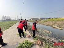 植下“希望树” 深耕基层治理沃土
