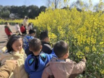 怀化市鹤城区第二幼儿园：金色花海里的童趣课堂