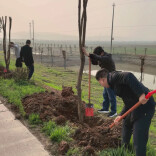 植此青绿 守护碧水