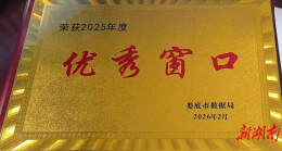 娄底消防政务窗口获评“2025年度优秀政务窗口”