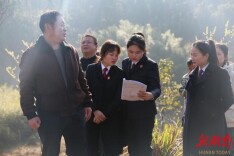 补植复绿“回头看”  千年古树话法治 辰溪县法院创新机制守护绿水青山