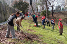 党旗飘扬添新绿 党群携手美云溪