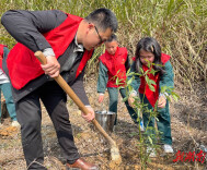 娄底吉星中学将思政课搬进植树现场