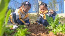 “植”此青绿 守护春天