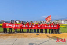 城步西岩镇干部职工积极开展植树活动