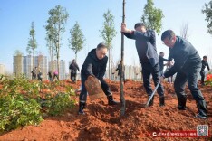 郴州市举行义务植树活动：厚植生态底色 建设美丽郴州