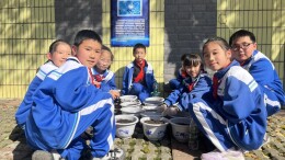 平江县新城学校：一抹新绿藏童趣 满目春光皆可期