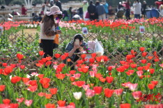 游客超905万人次、专利40余项 湖南省植物园发布“省市共建、免费开放”成果