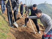 永定区思善桥社区开展 