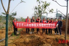 植绿添新  检察同行 津市市检察院开展“学雷锋·文明实践我行动”义务植树活动