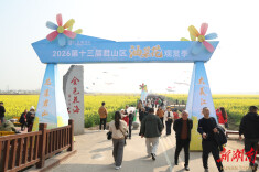 油菜花已开 君山等你来