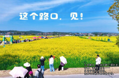 视频 | 这个路口，见！