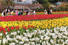 非预约不入园！ 湖南省植物园今日预约已满