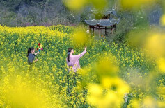 花粉过敏能否“放着不管” 婴幼儿症状如何分辨？专家解答→