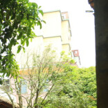 沅江芦笋：洞庭深处的清鲜与乡愁