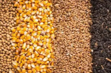 国务院食安办：大宗食品抽检合格率连续四年超99%