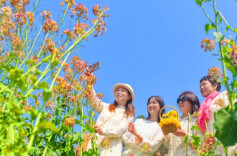 Spring Greets Hunan with Blooming Flowers