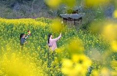 花粉过敏能否“放着不管” 婴幼儿症状如何分辨？专家解答→