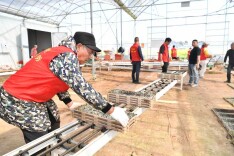 浏阳洞阳：春耕备耕正当时 党群携手助农忙