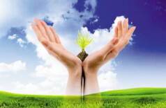 周末·话题丨多地取消“家长护学岗”，听见叫好声背后的期许