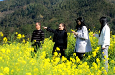 开局八好 潮起北湖｜瑶乡金浪翻涌！“种”出双季丰收图