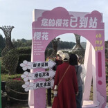 要“流量”更要“留量” ——湖南樱花季经济观察