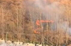 湘江滩涂火情原因查明：市民许某某（女，66岁）意图烧毁河床杂草，以便采摘艾叶，不慎引发火灾，被行政拘留十日