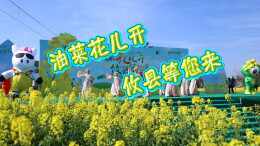 春色加码，攸县油菜花节又有新花样|花田不错⑤