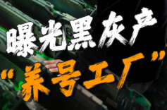 周末·关注丨盗号、养号、再卖号 记者曝光黑灰产“养号工厂”