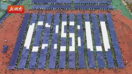 千企送岗 筑梦青春