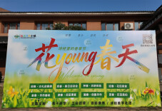 中景稻花香诗经小镇启幕春日盛会 以文化创新赋能文旅融合发展