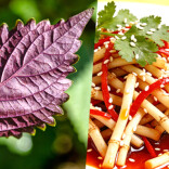 倒春寒易生病？3种餐桌天然食材，帮你增强免疫力