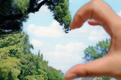 湖南的春天别只盯着花，还可以看看这些树！