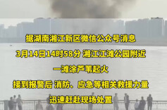 湘江一滩涂起火，嫌疑人已被控制！