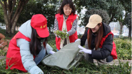 长理学子赴湘江风光带开展志愿服务