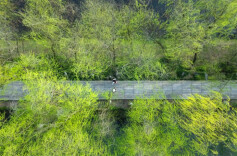 Yanghu National Wetland Park Embraces Spring Breeze