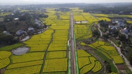 花海凝香处，宁家坪春日放歌
