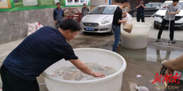 银发专家下田埂  春耕战场献“粮”策——君山区银发人才一线支农纪实